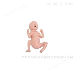 高级足月胎儿护理训练模型-高级胎儿护理模型-胎儿模型