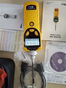 美国华瑞PGM-1600有毒气体检测仪