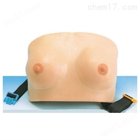 穿戴式乳房检查训练模型-穿戴式乳房检查模型-乳房自检模型