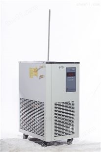 DLSB-20/80低温冷却液循环泵（低温-80°C）