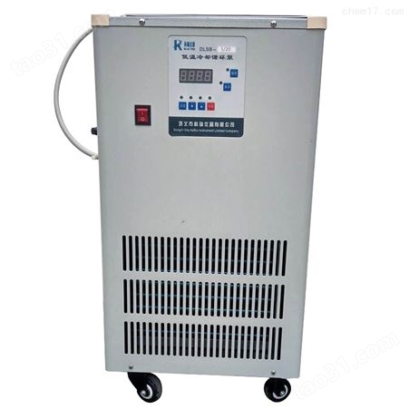 DLSB-80/20低温冷却液循环泵