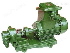 齿轮油泵齿轮式输油泵|齿轮油泵