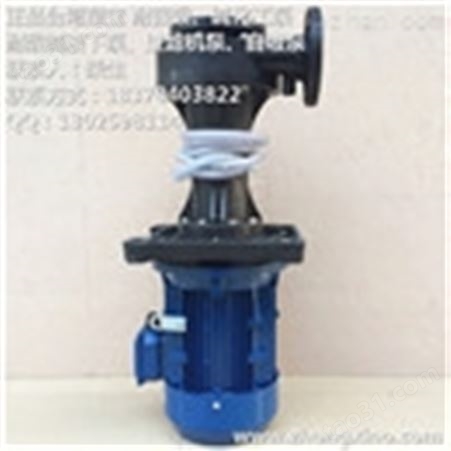 供塑宝立式液下化工泵SWP-63SK-10