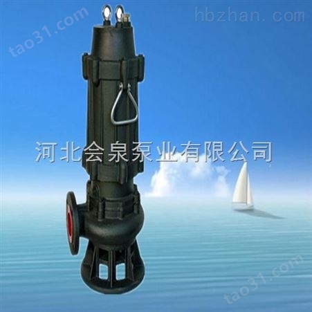 100WQ80-10-4潜水泵_WQK切割装置排污泵