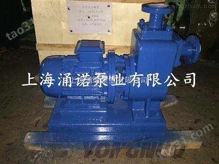 BYZWL40-10-20工业污水直连式自吸泵