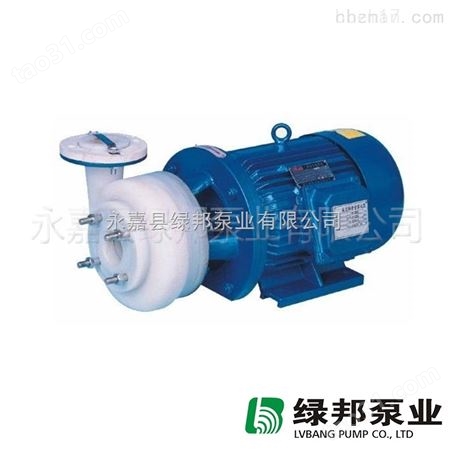 25FSB-18型直联式氟塑料化工泵