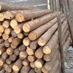 河道杉木桩出售 三米杉木桩图片 胜洁木业