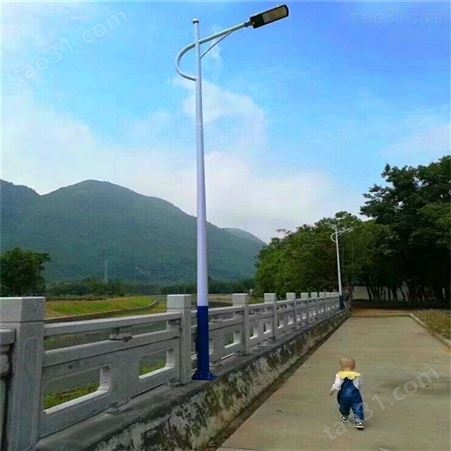 太原清徐乡村路太阳能照明路灯海螺臂路灯灯杆厂家