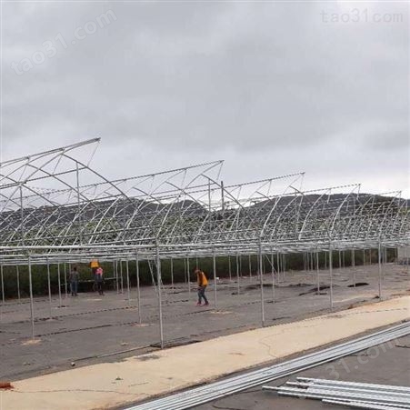 连栋温室建造技术 蔬菜大棚生产厂 玻璃温室搭建 聚友信达8fAcWg型