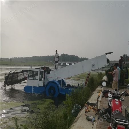 剿灭水葫芦 机械打捞船清理河道水生植物
