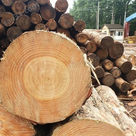 邦皓木业新西兰松木木方40*120工程建筑口料定制加工各种规格木材