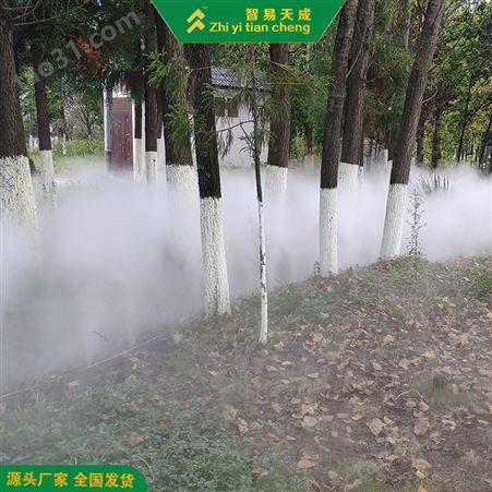 贵阳庭院雾森系统设备 假山雾化系统 智易天成