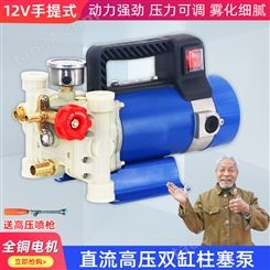 手提式电动打药机12V48V60V高压双缸柱塞泵农用果树喷雾器洗车泵
