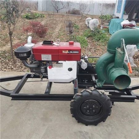 工业大马力抽水泵 高扬程汽油机水泵 蔬菜基地灌溉泵