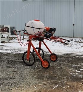 打药机手扶喷药机 汽油机自走式蔬菜农作物喷雾器