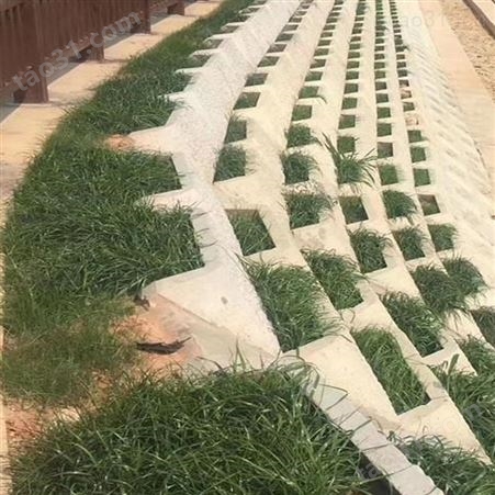 植草式护坡模具 植草砖模具生产 颢诚模具 新型加工使用方便 预制植草式护坡模具