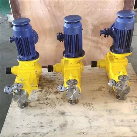 供应计量泵 防爆电机柱塞式计量泵 加药泵支持定制