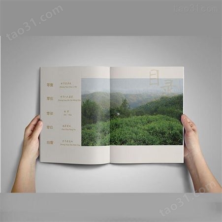 佛山画册印刷  宣传册设计 印刷厂定制