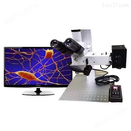 现货供应【电动金相显微镜 】精密工具显微镜 影像测量显微镜 金相显微镜厂家