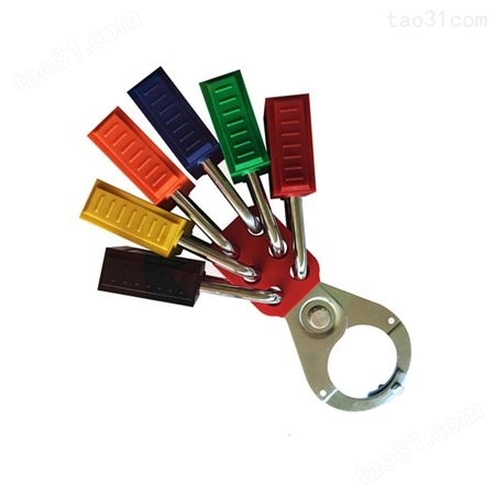 铂铒盾PATRON 安全挂锁上锁挂牌锁具11217黑色不同花钥匙塑料锁体