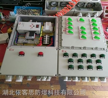 BDMX52-6防爆动力配电箱（带漏电保护）