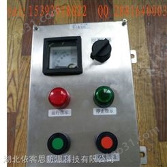 DSX8050-A2D2K1G防爆控制箱