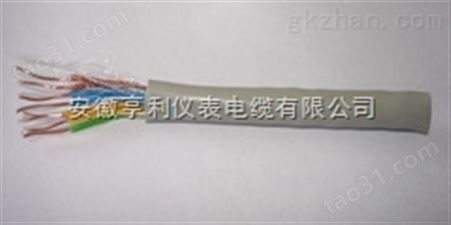 计算机电缆ZR-DJFEPPV耐温250度氟橡胶护套