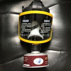 工厂防化防毒消防防护面罩